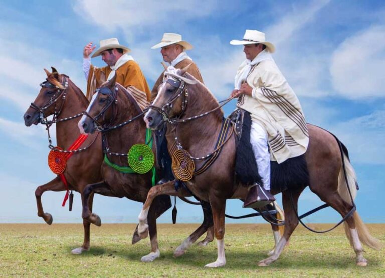 caballos-de-pas